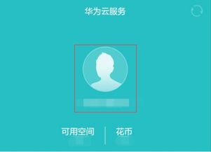 电脑怎么打开华为云服务(华为云服务电脑端操作指南，轻松打开并享受云服务功能)