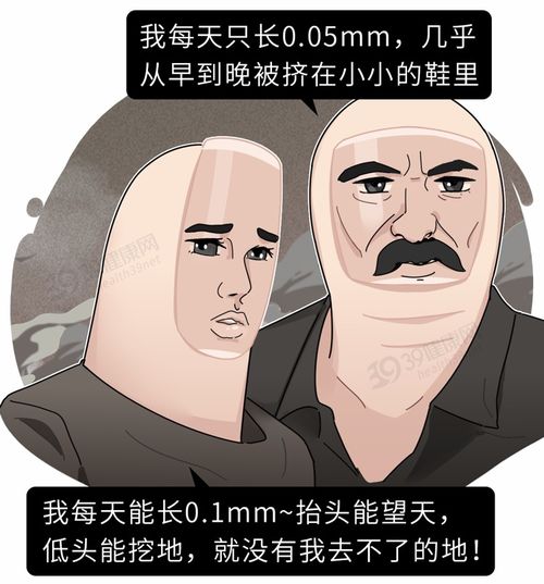 欧美游戏徐娘游戏攻略 VS 游戏益智攻略游戏大全