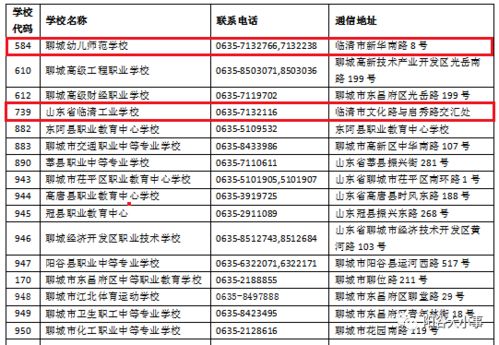 公共游戏攻略 VS 起步游戏攻略