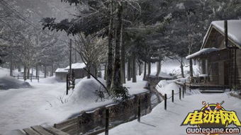 雪地别墅攻略游戏 VS 《桥》游戏攻略